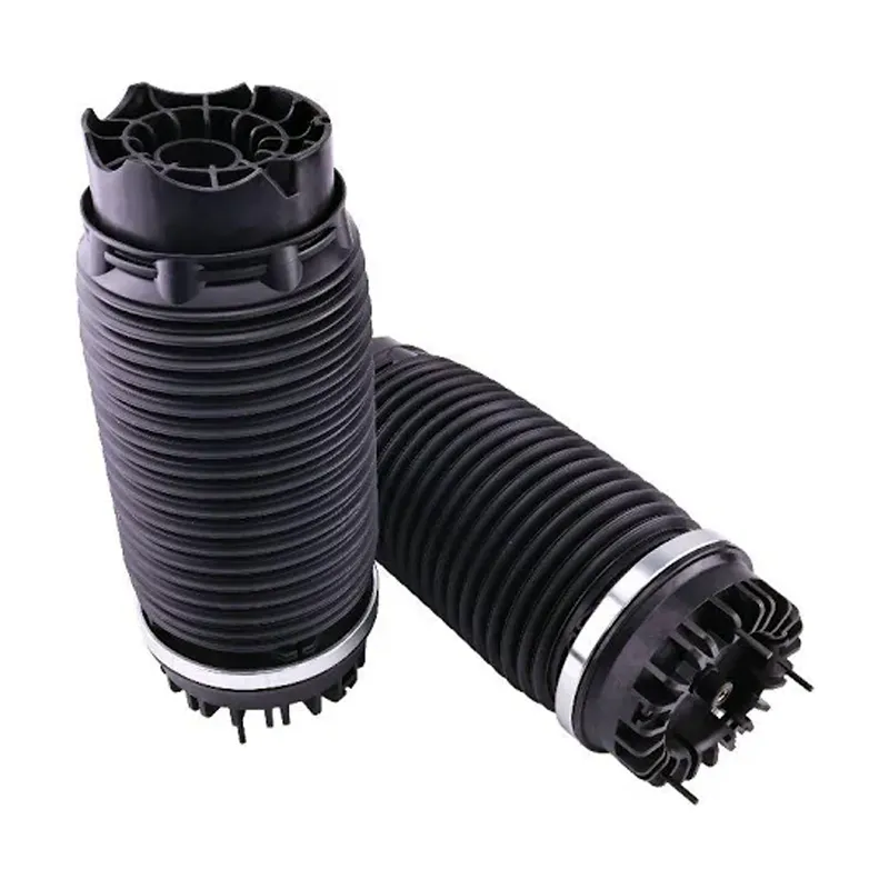1 Pair Rear Left Right Air Suspension Spring 68260938AA for 2019-2024 Dodge Ram 1500