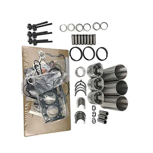 Engine 3D84-1 3D84-1FA 3D84-1C Overhaul Rebuild Kit for Komatsu PC20-5 PC20-6 PC30-6 PC30 PC38UU-1 Excavator