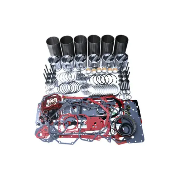 Overhaul Rebuild Kit for Cummins Engine 6CT 6CT8.3 6CTA8.3