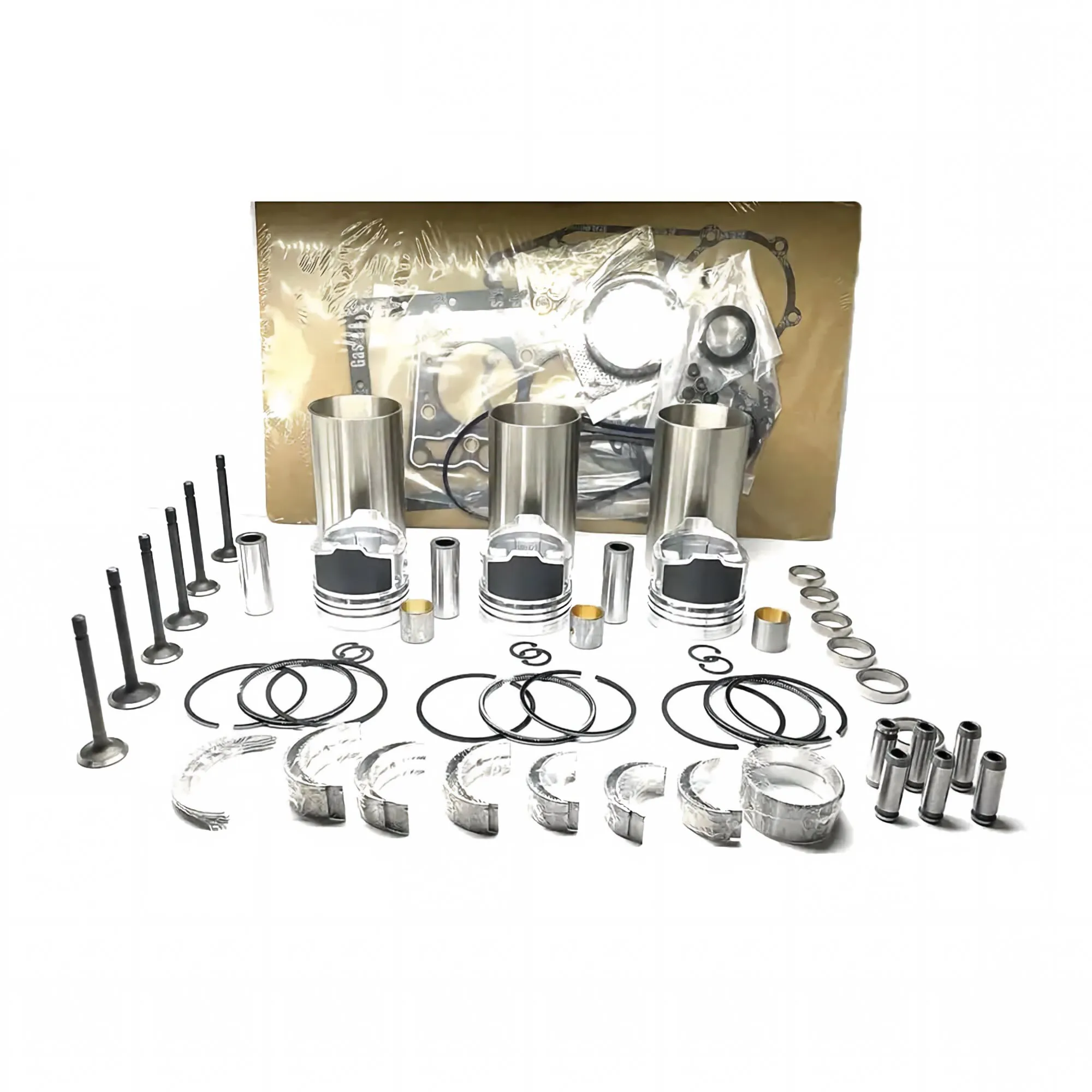 Overhaul Rebuild Kit for Deutz Engine F3L1011