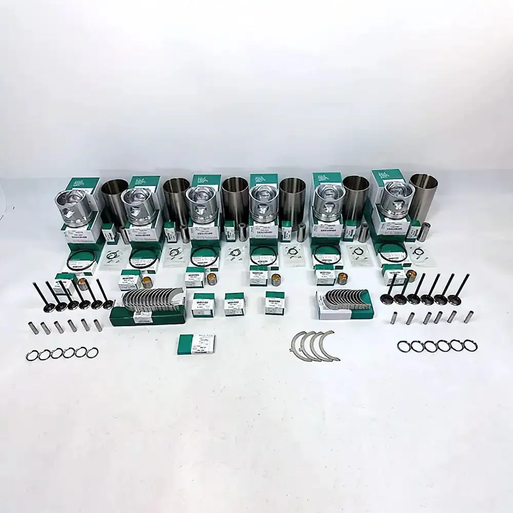 Overhaul Rebuild Kit for Hino EK100 Engine