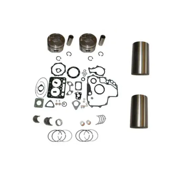 Overhaul Rebuild Kit for Kubota Engine Z430 Tractor G4200 Excavator KH007 KH21
