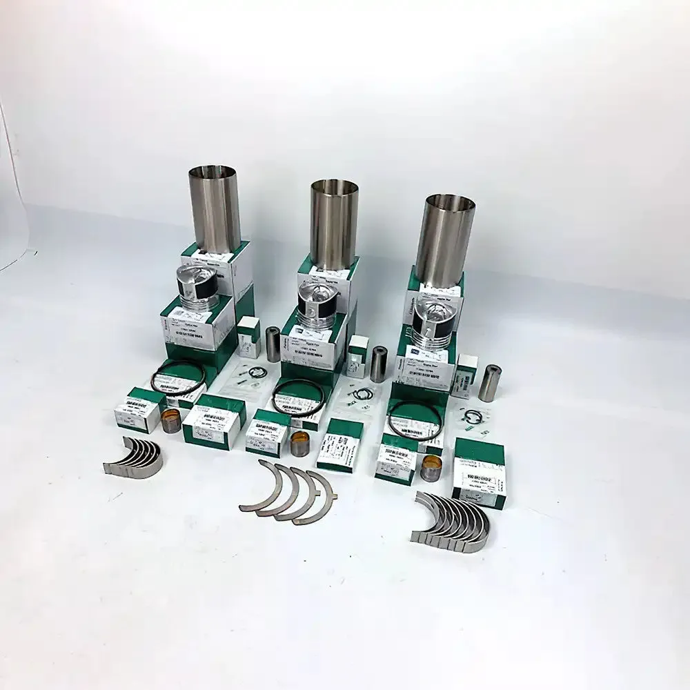 Overhaul Rebuild Kit for Shibaura N843-2 Engine