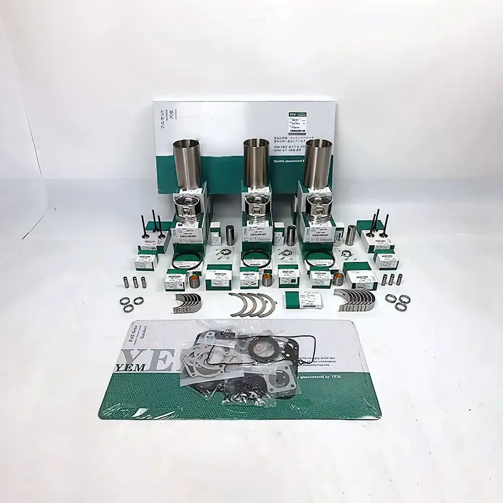 Overhaul Rebuild Kit for Yanmar 3TNA66 Engine