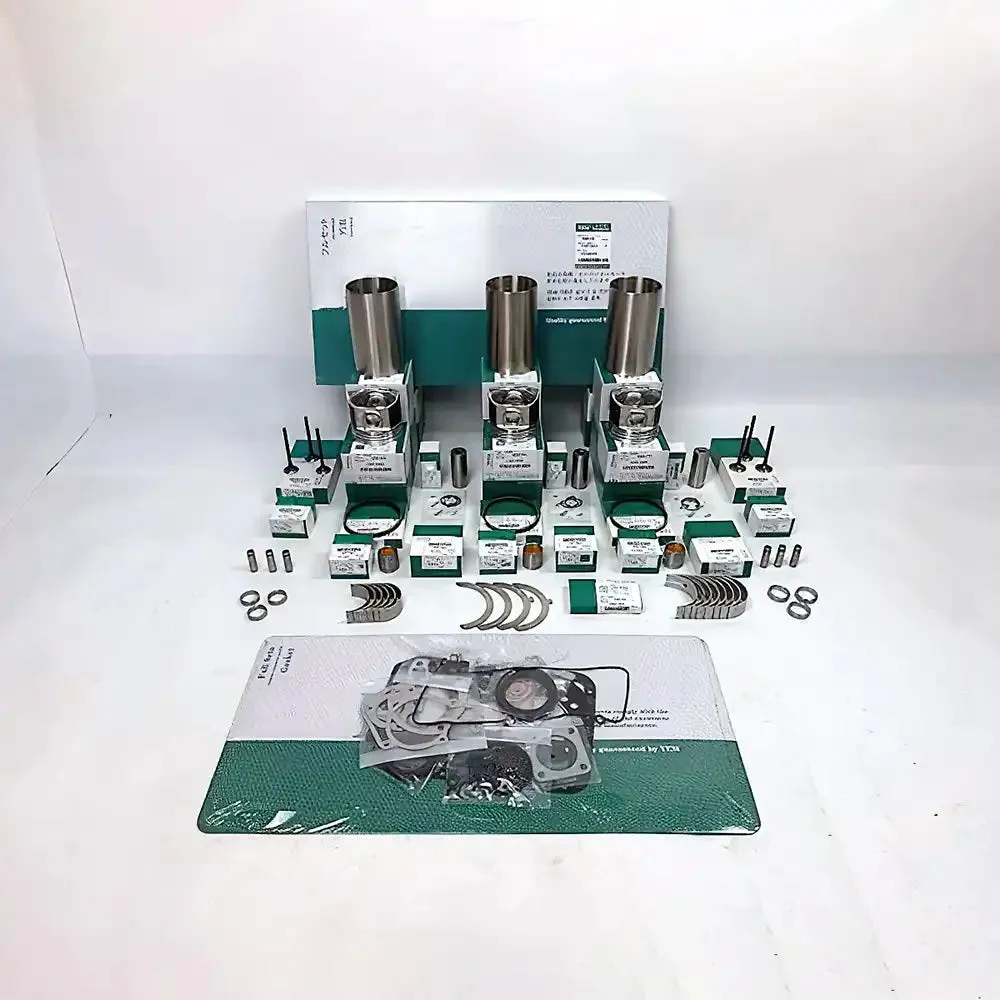 Overhaul Rebuild Kit for Yanmar 3TNE100 Engine AF520 Tractor