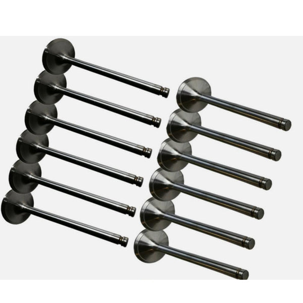 1 Set Exhaust & Intake Valve for Cummins C8.3 Engine
