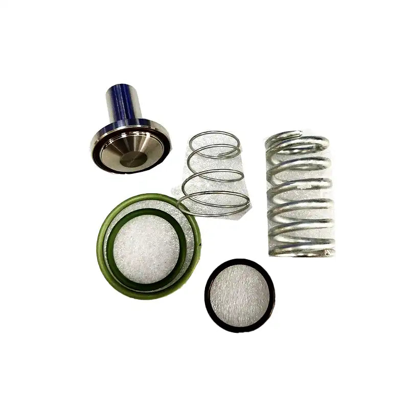 Air Compressor Parts Minimum Pressure Valve Repair Kit 1625170482 for Bolaite
