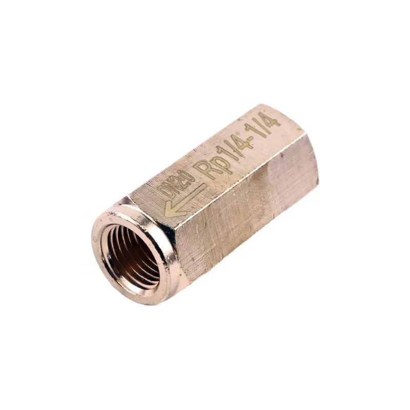 Check Valve 0823005009 for Atlas Copco Compressor