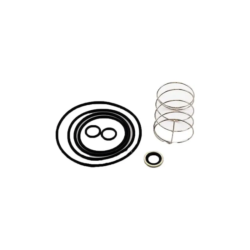 Check Valve Kit 2901-0077-01 2901007701 for Atlas Copco Screw Air Compressor