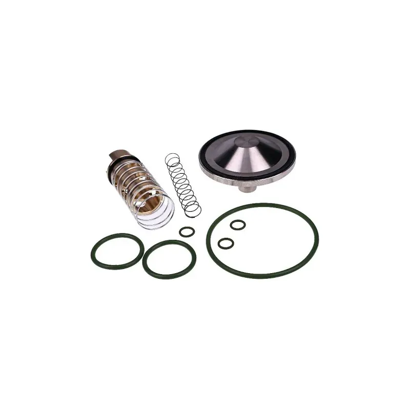 Check Valve Kit 2901-2020-00 2901202000 for Atlas Copco Screw Air Compressor C90 GA30+