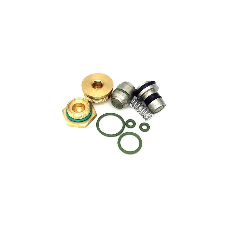 Control Valve Kit 2200900950 for Atlas Copco Air Compressor