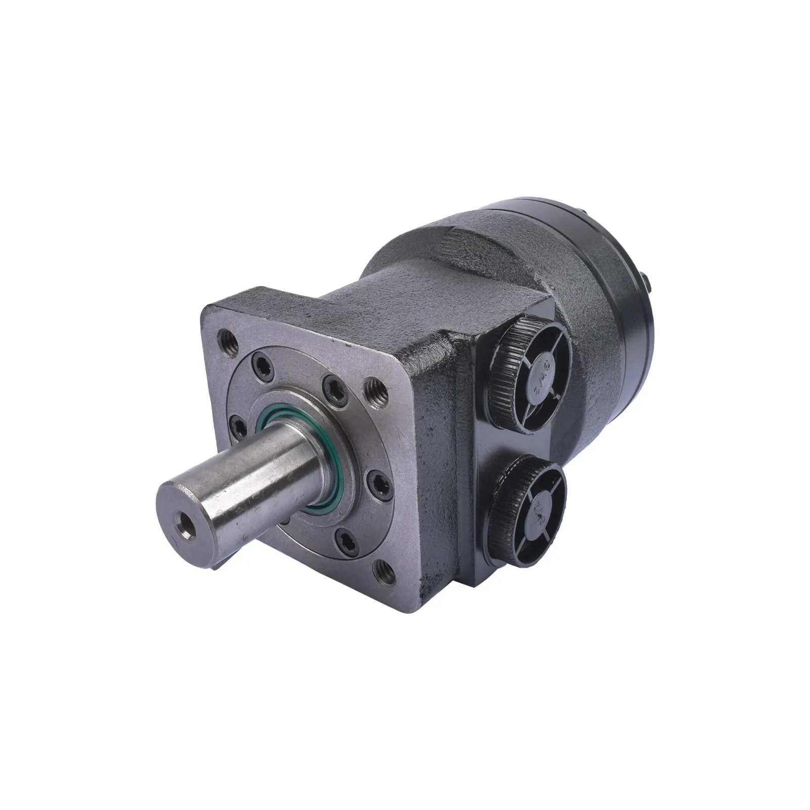 Hydraulic Motor TB0100FP100AAAA TB0100FP100AAAB for Parker TB TE Series