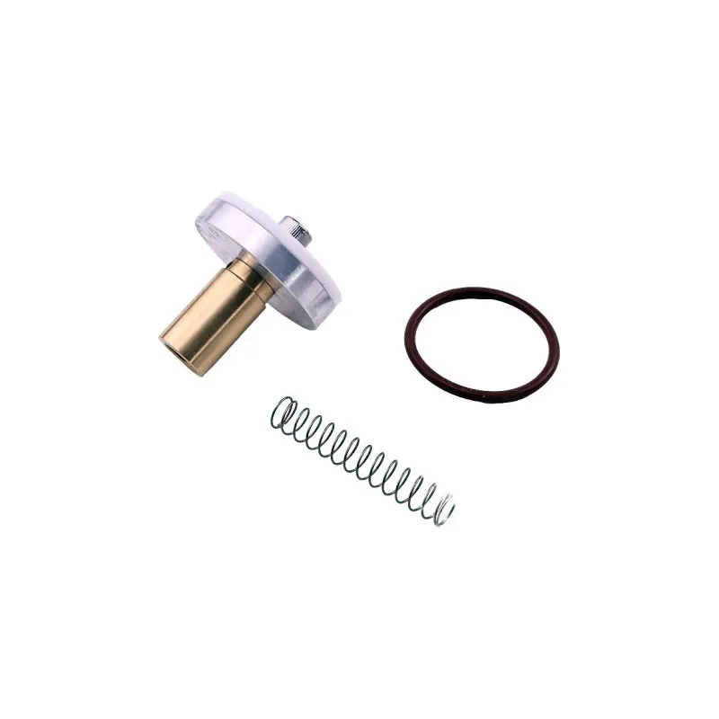 Minimum Pressure Check Valve Repair Kit 250019-444 for Sullair Screw Air Compressor