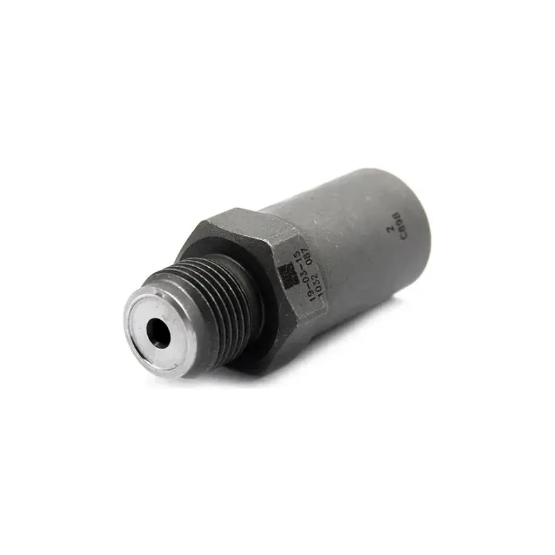 Pressure Relief Valve 1110010032 1 110 010 032 for Bosch