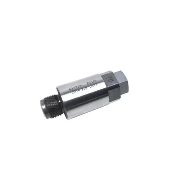 Pressure Relief Valve 4307376 for Cummins Engine B6.7 ISC8.3 ISL9 QSB3.3 L9 QSL9