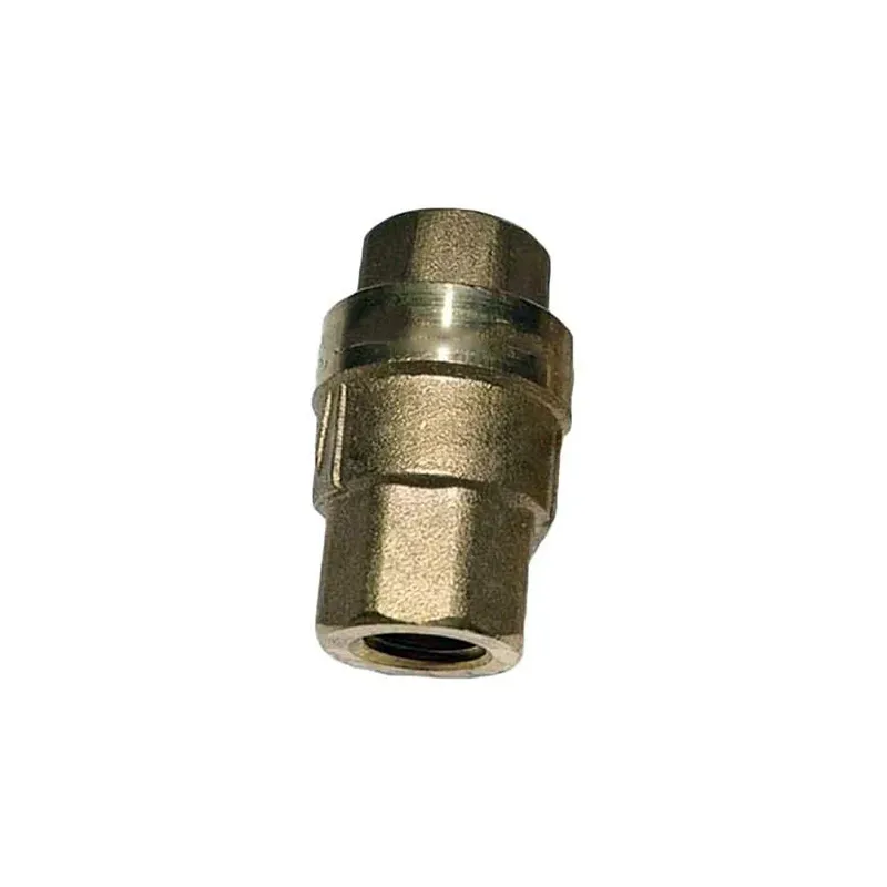 SIZE1/4PN1.6 Check Valve 2104100094 for Fusheng Air Compressor